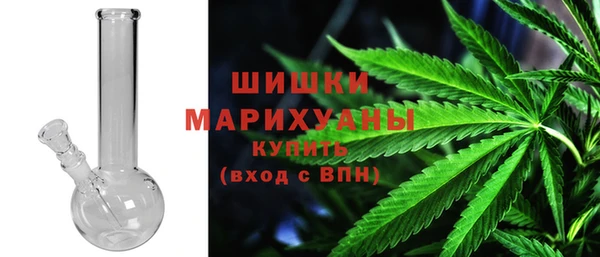 Альфа ПВП Аркадак