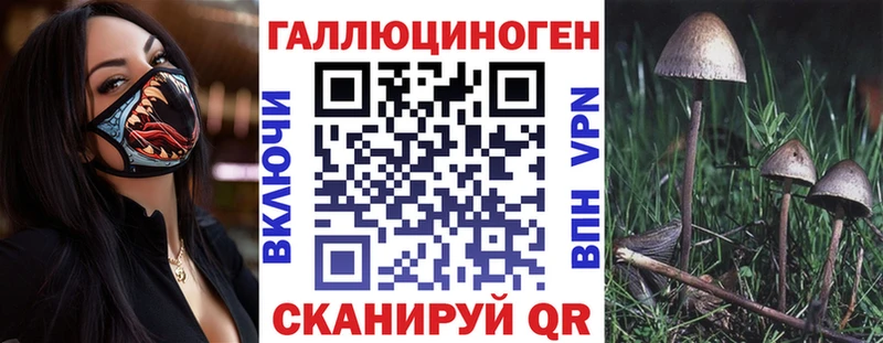 маркетплейс официальный сайт Курчалой Псилоцибиновые грибы мицелий