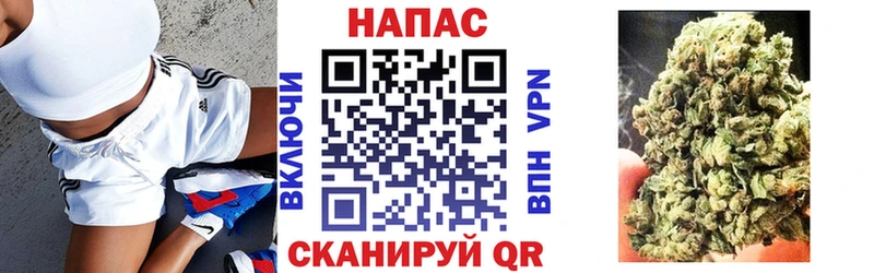 Канабис гибрид  Курчалой 